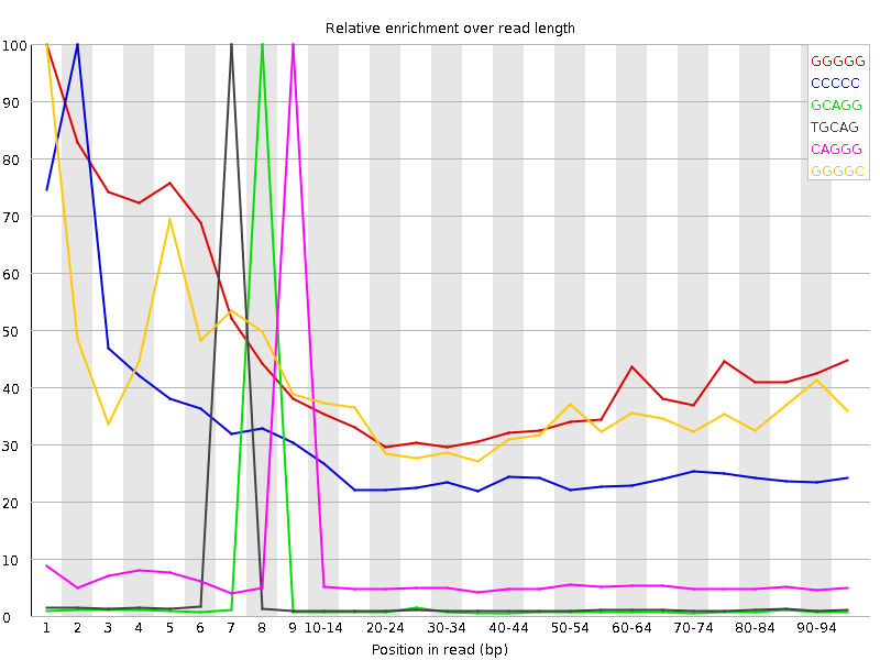 Kmer graph