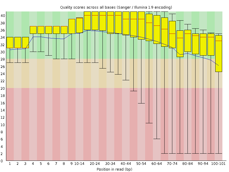 Per base quality graph