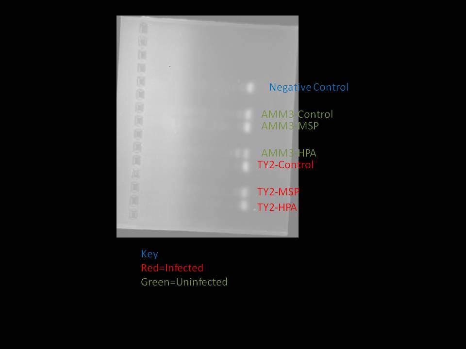 081310_ClassMethylTest2(2).jpg