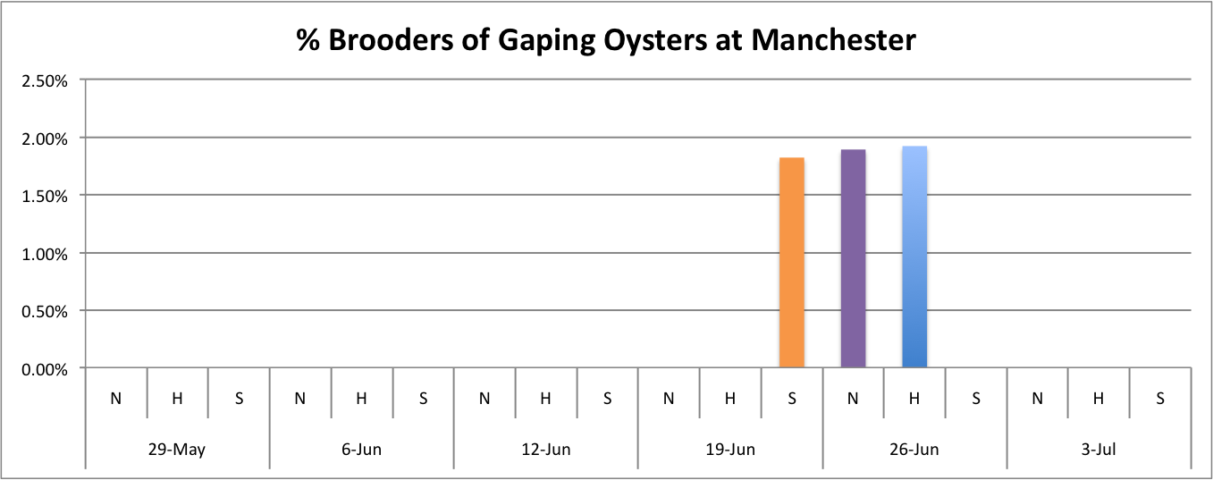 %BroodersatManchester.png