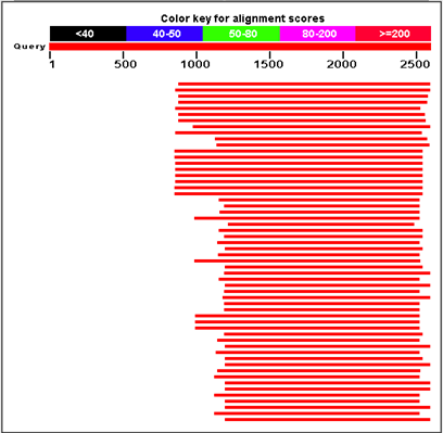 EF1-a_herring_conserved.png