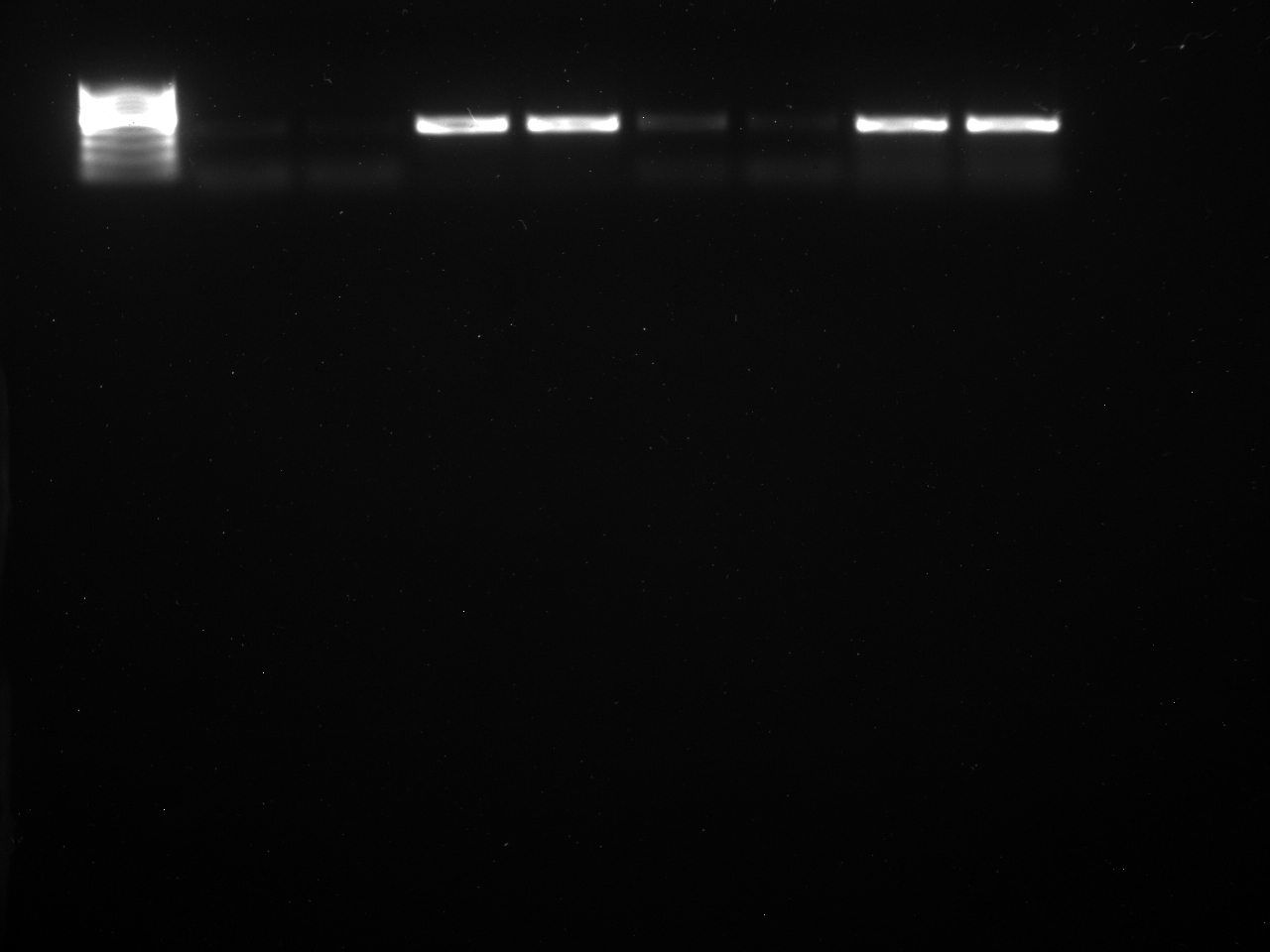 PCR_Pg_CaseInlet-5-25-15.jpg