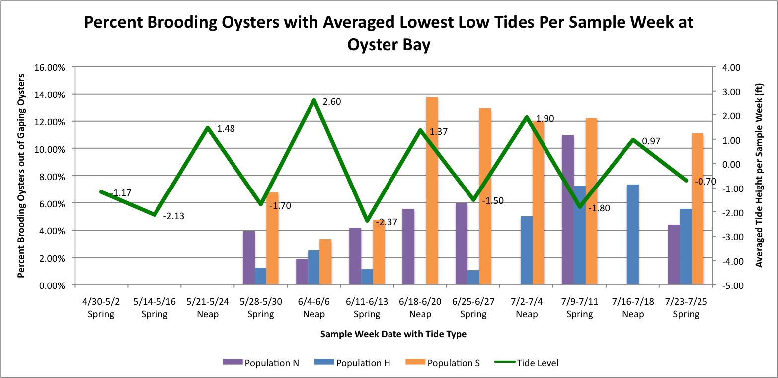 PercBrooderswithLowestLowTidesOYSTER.png