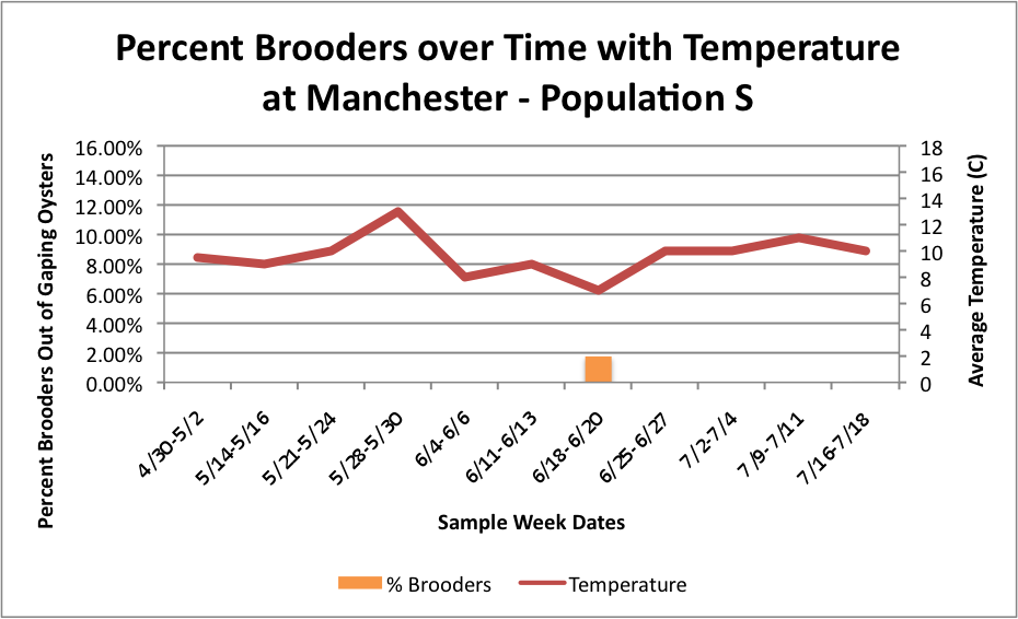 PercBrooderswithTatManchesterPopS.png