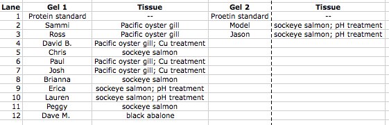 Table_1.jpg