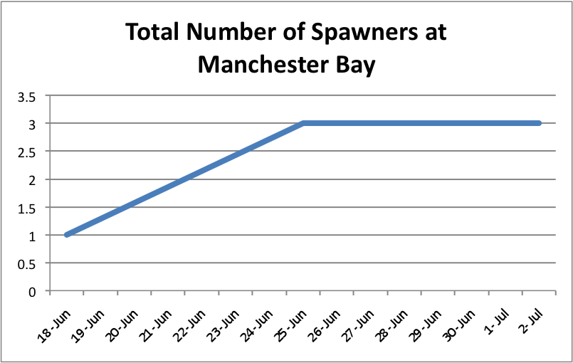 Total#SpawnersatManchester.png