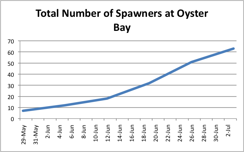 Total#SpawnersatOyster.png