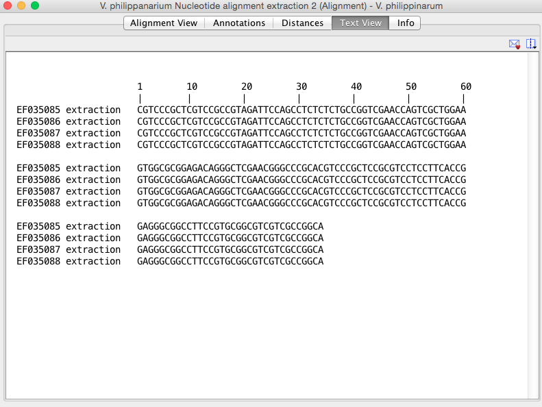 V. philippinarum sequenec 2.png