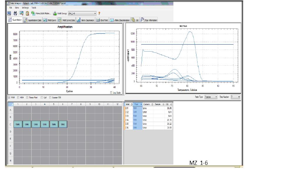 qPCR_results.jpg