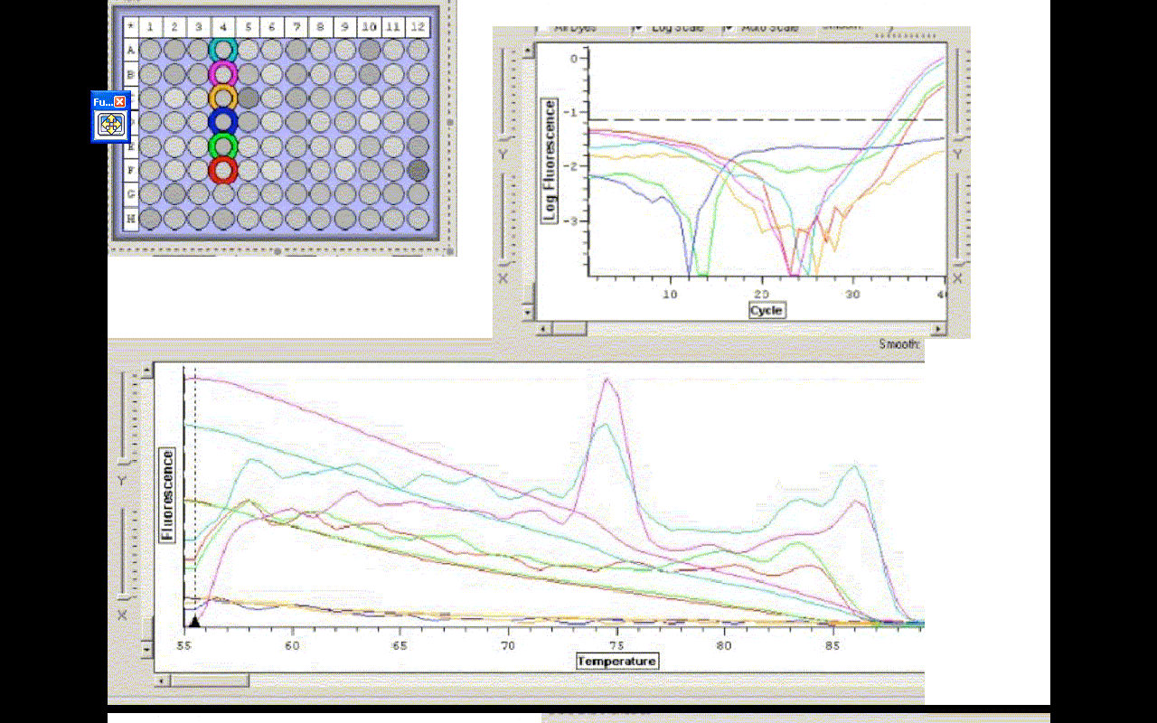 qpcr.cb.gif